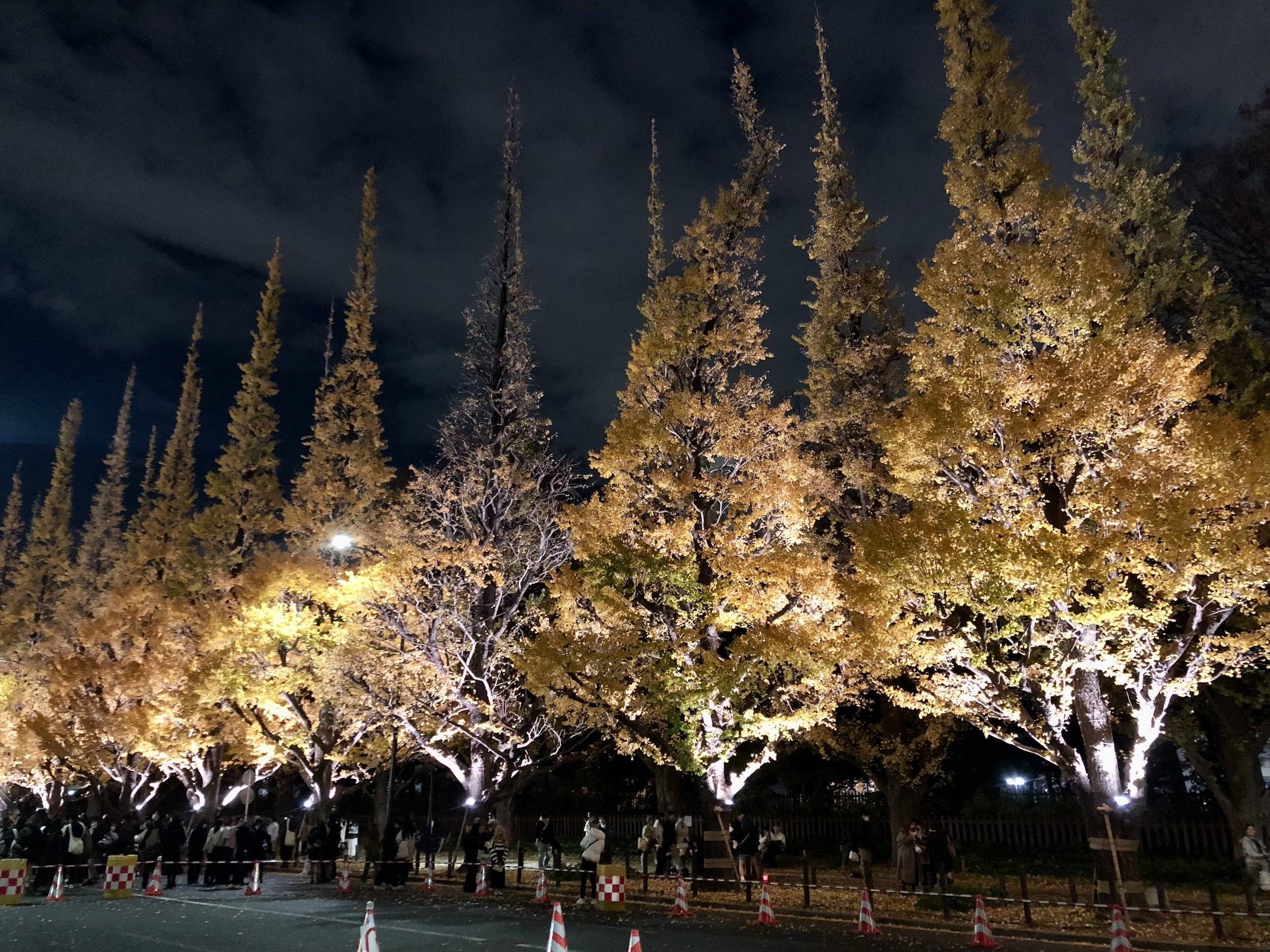 🏞️ 아즈마 종합 운동공원 (아즈마 소고운도코엔) 이미지 11